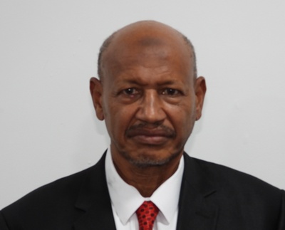 Shamseldin Abdelafie
